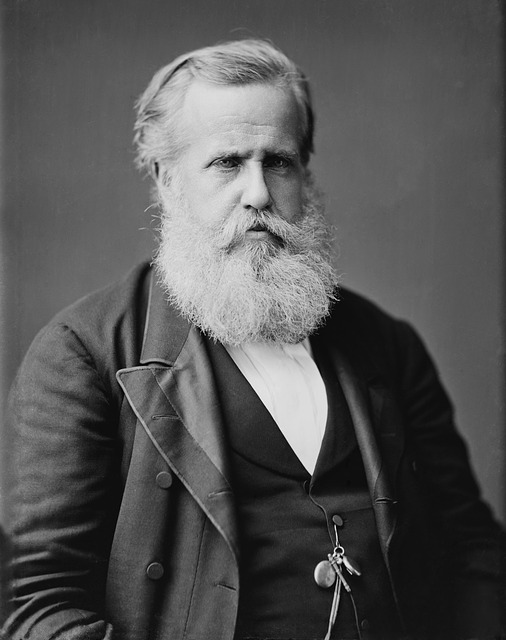 Dom Pedro II, O Benfeitor de sua Pátria